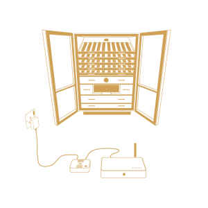 TRASPARENT DRAWINGS-14